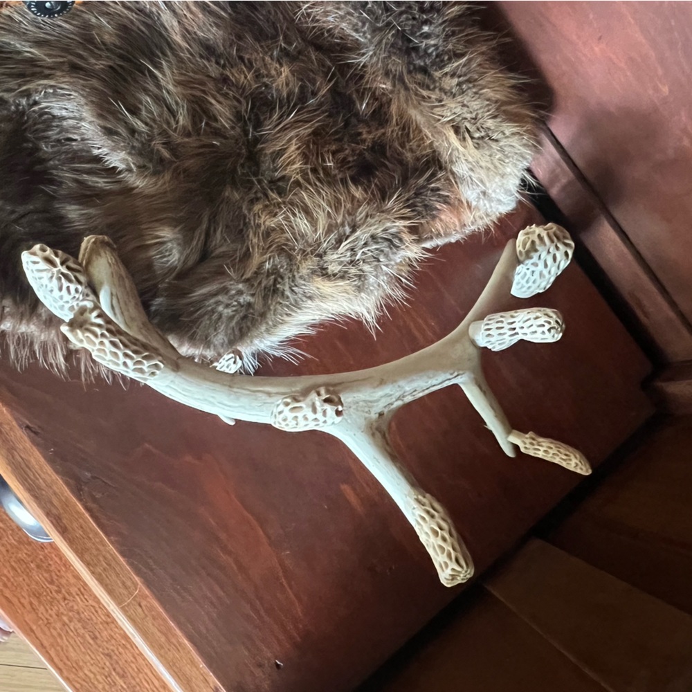 Folk Art Whitetail Shed Antler with hand carved morel mushrooms. - Picture 8 of 11